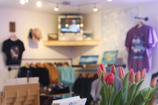 Spring is the new Summer π·