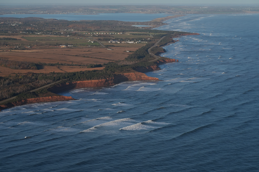 Belle Swell