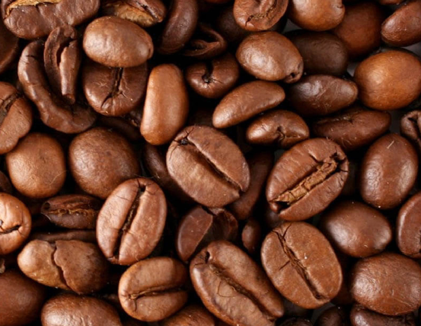 Wave Check Brew ☕ *Organic Medium